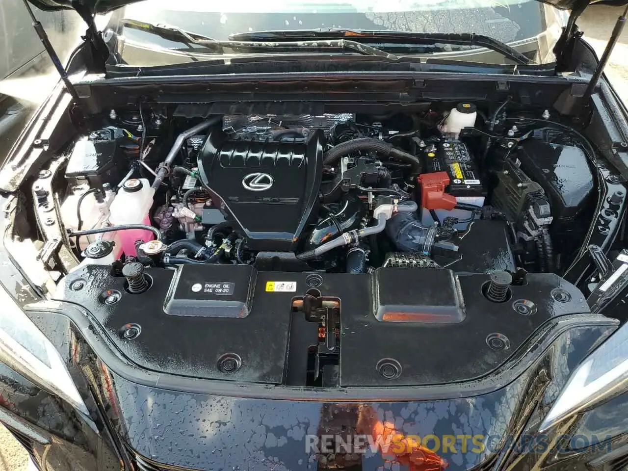 12 Photograph of a damaged car 2T2KGCEZ1PC017382 LEXUS NX 350 2023