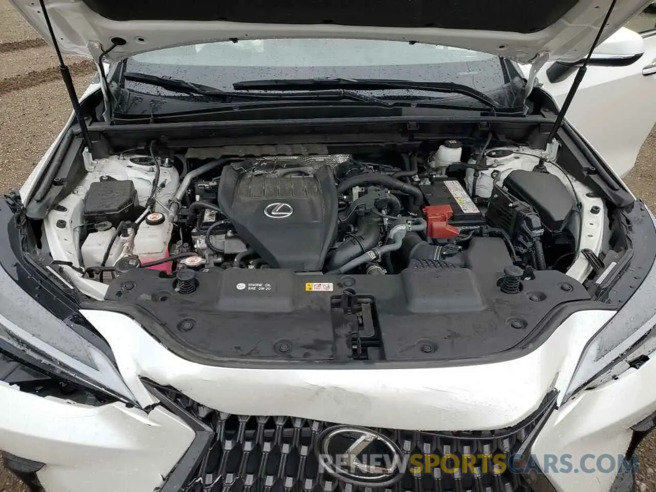 12 Photograph of a damaged car JTJAGCEZ3P5005454 LEXUS NX 350 2023
