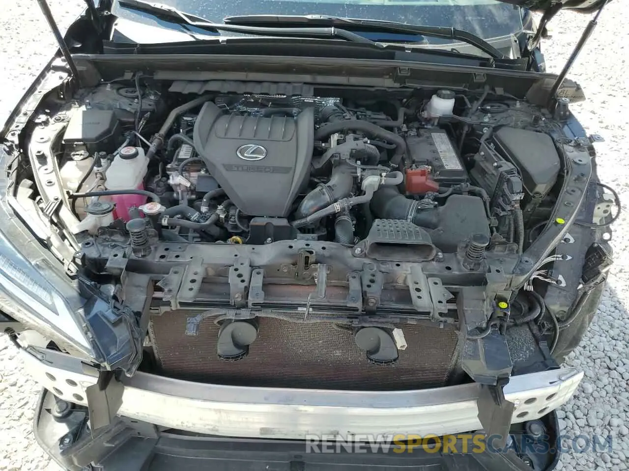 12 Photograph of a damaged car JTJKGCEZ4P5004561 LEXUS NX 350 2023