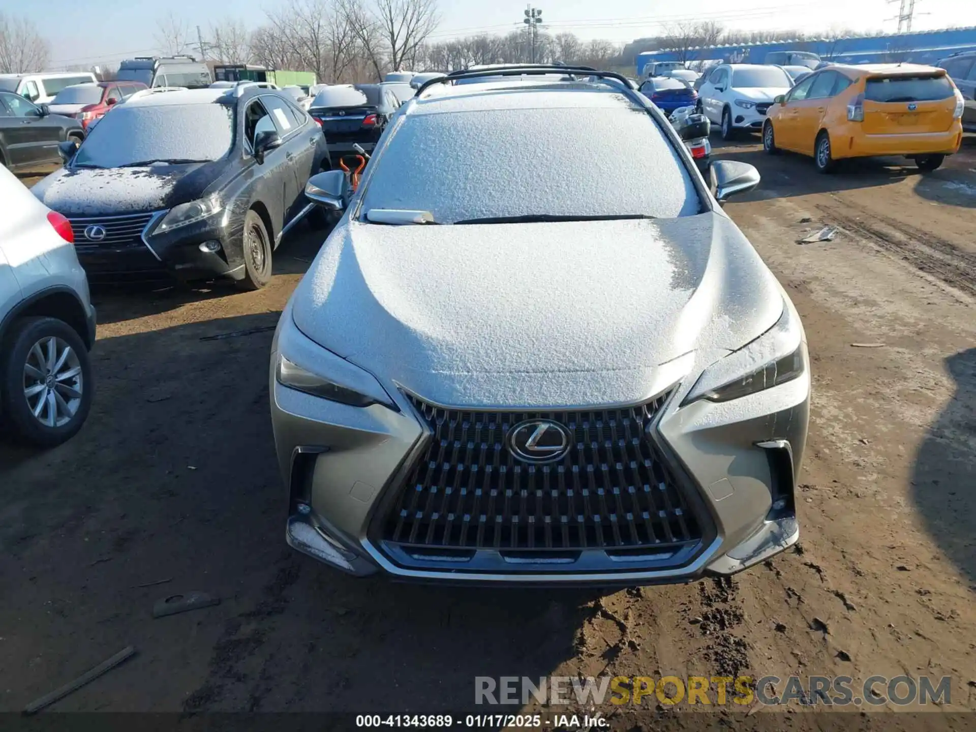 12 Photograph of a damaged car 2T2AGCEZ7RC039708 LEXUS NX 350 2024