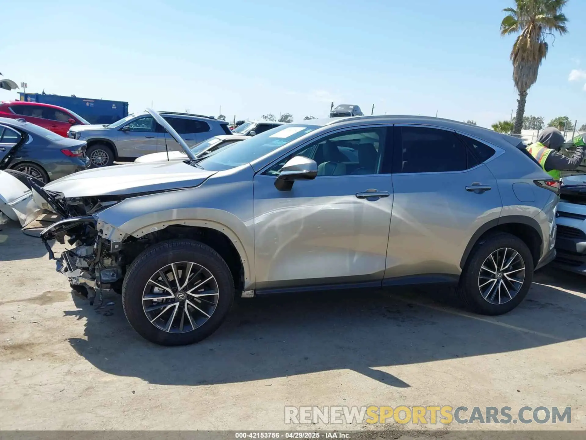 14 Photograph of a damaged car 2T2AGCEZ9RC045316 LEXUS NX 350 2024