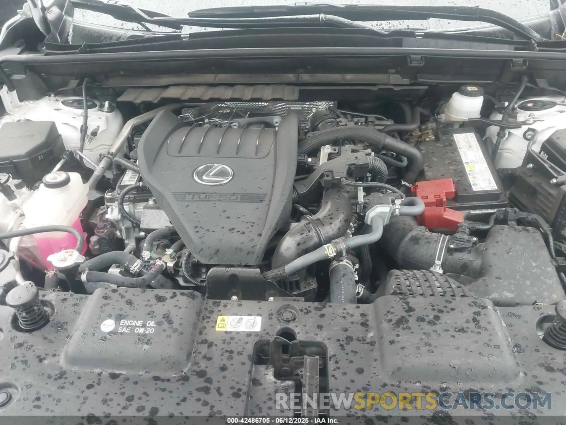 10 Photograph of a damaged car JTJHGCEZ0R5007406 LEXUS NX 350 2024