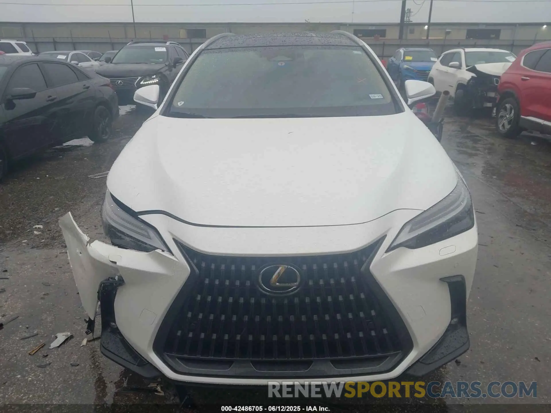 12 Photograph of a damaged car JTJHGCEZ0R5007406 LEXUS NX 350 2024