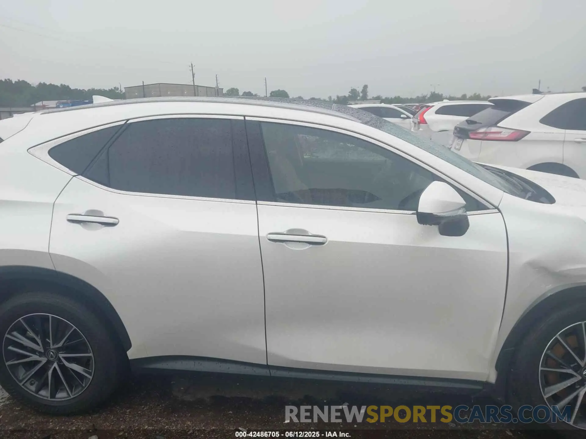 13 Photograph of a damaged car JTJHGCEZ0R5007406 LEXUS NX 350 2024