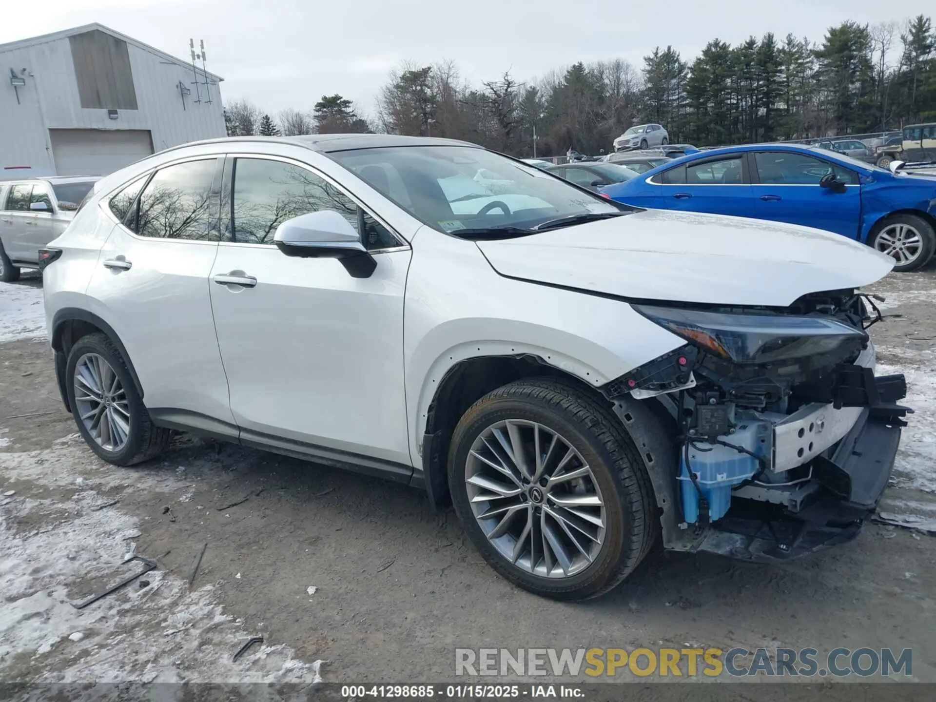 13 Photograph of a damaged car JTJHGCEZXR5007672 LEXUS NX 350 2024