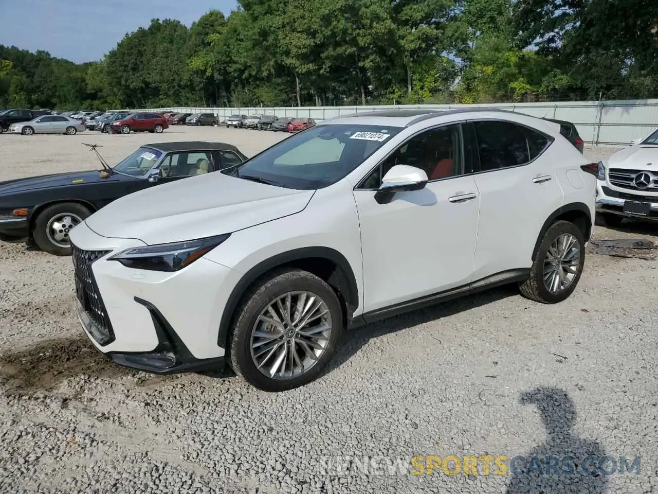 1 Photograph of a damaged car 2T2HGCEZ0RC032775 LEXUS NX 350 LUX 2024
