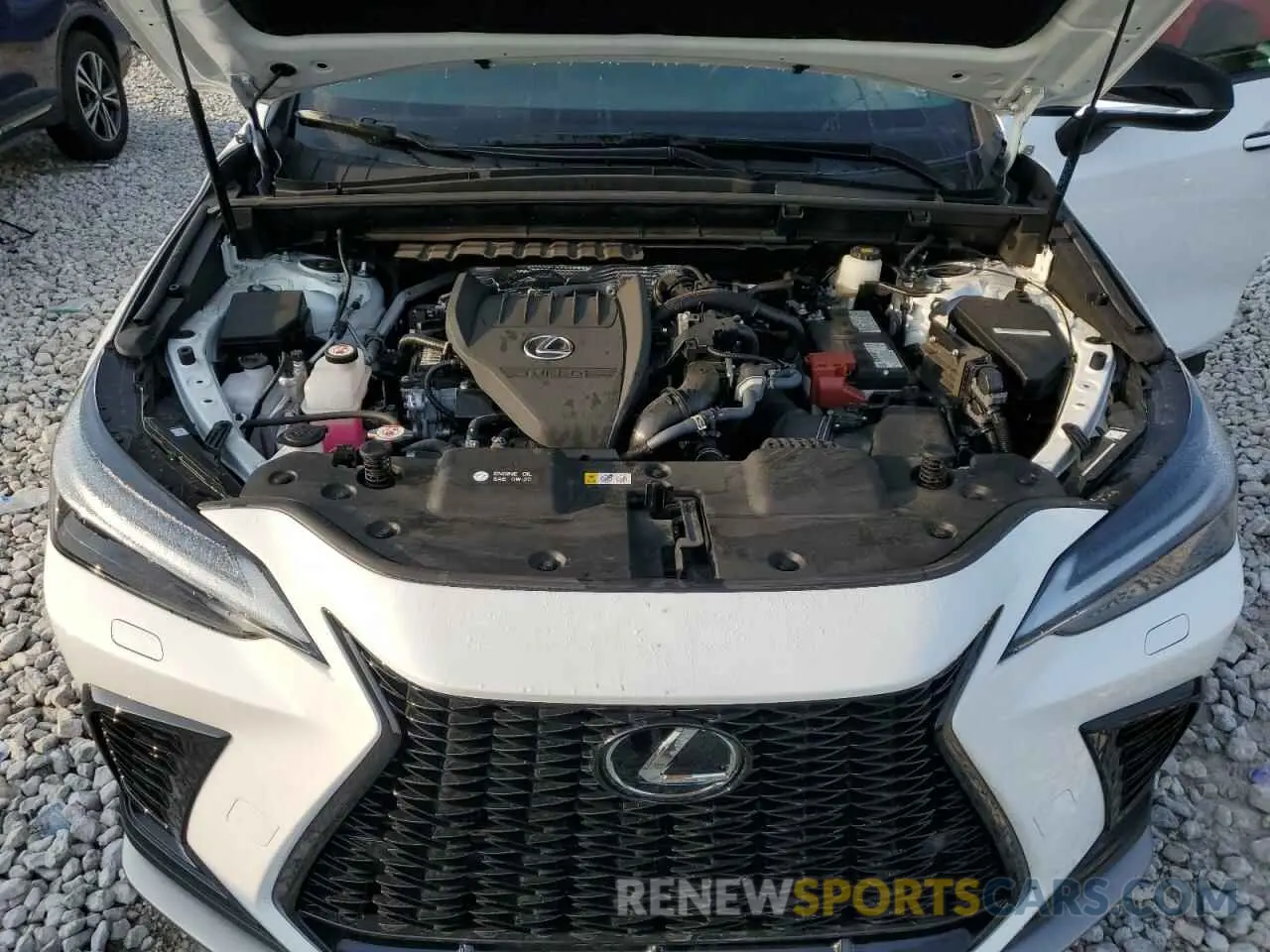 12 Photograph of a damaged car 2T2KGCEZ2RC032881 LEXUS NX 350 LUX 2024