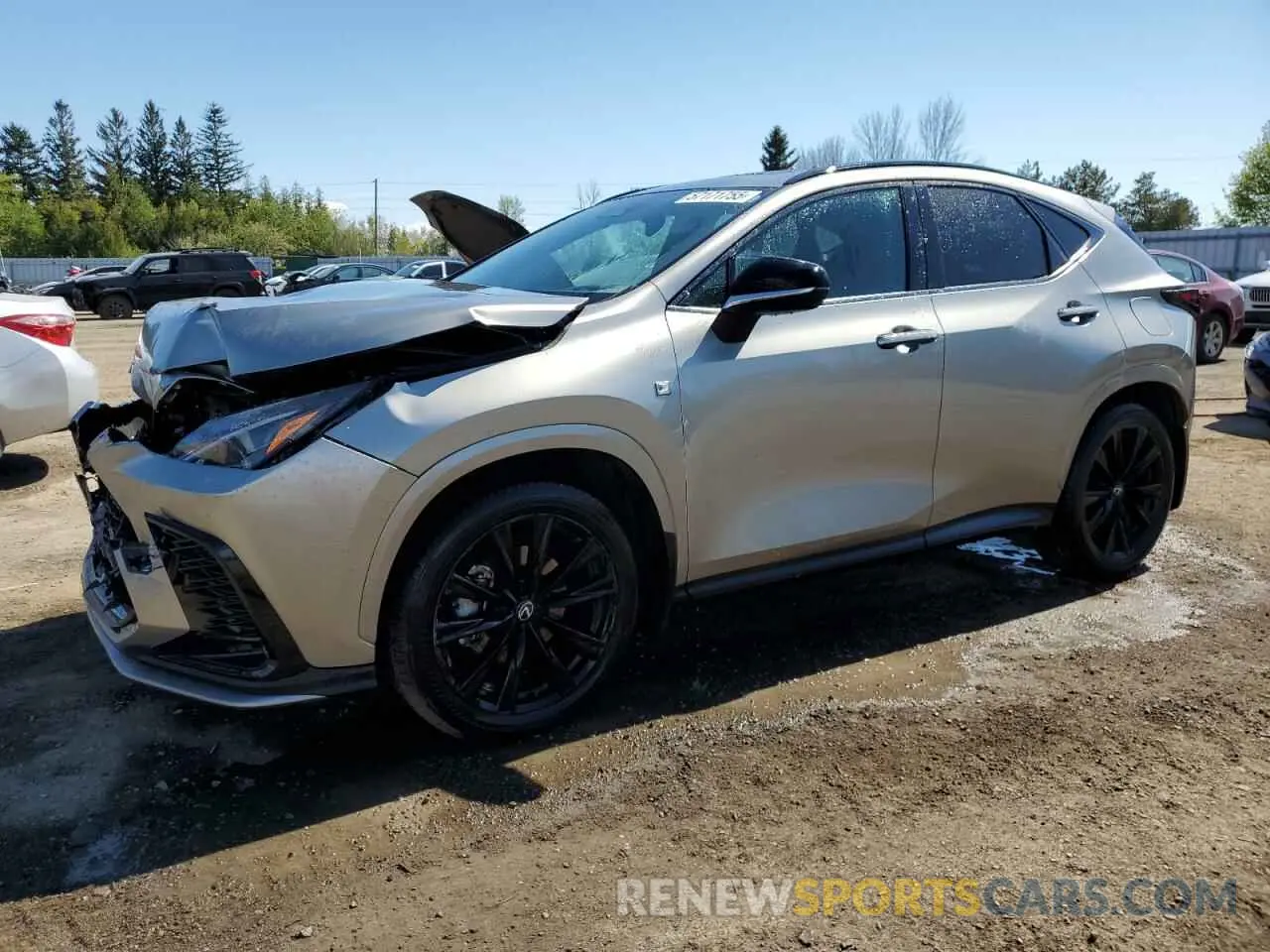 1 Photograph of a damaged car 2T2KGCEZ4RC045311 LEXUS NX 350 LUX 2024