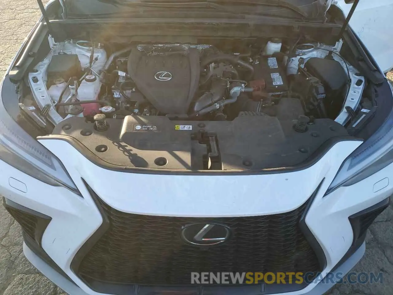 12 Photograph of a damaged car 2T2KGCEZ6RC057346 LEXUS NX 350 LUX 2024