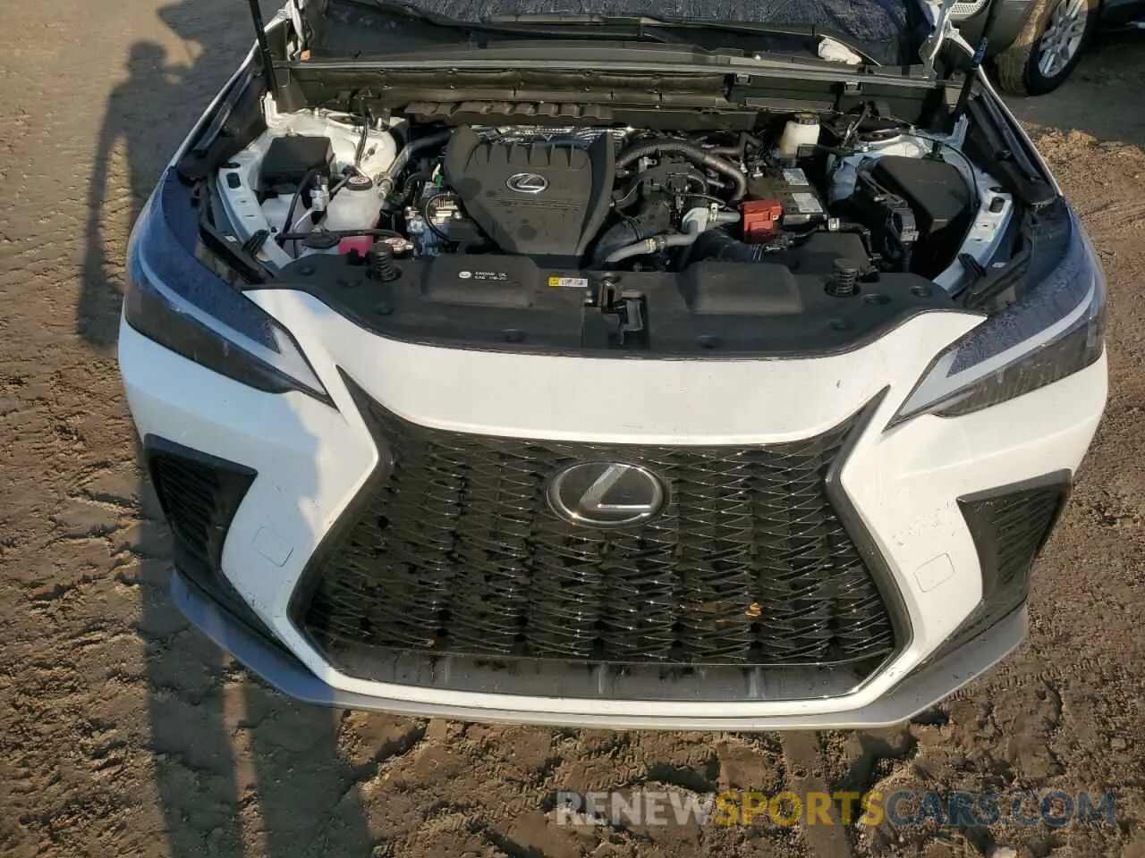 12 Photograph of a damaged car 2T2KGCEZ9RC050651 LEXUS NX 350 LUX 2024
