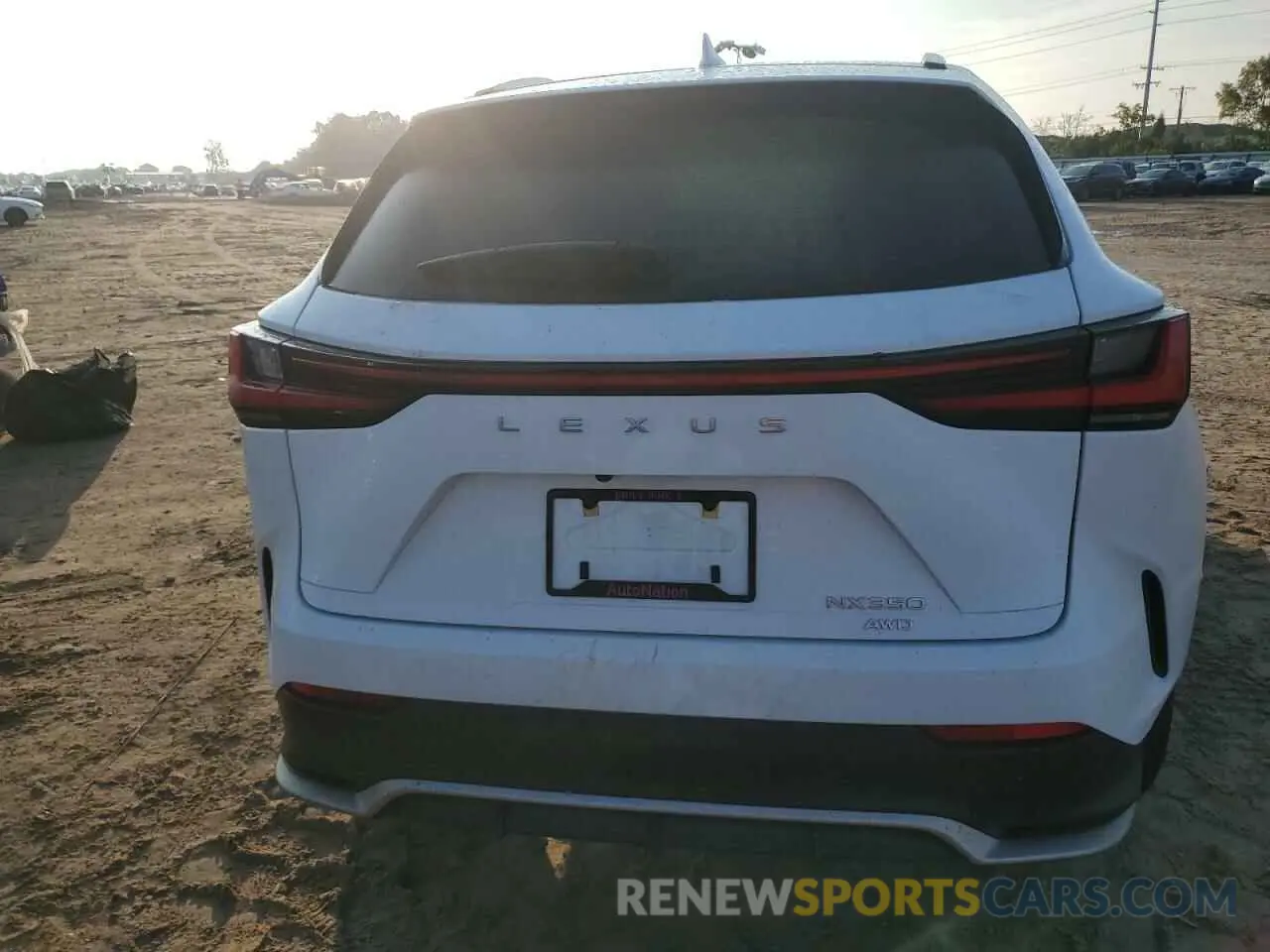 6 Photograph of a damaged car 2T2KGCEZ9RC050651 LEXUS NX 350 LUX 2024