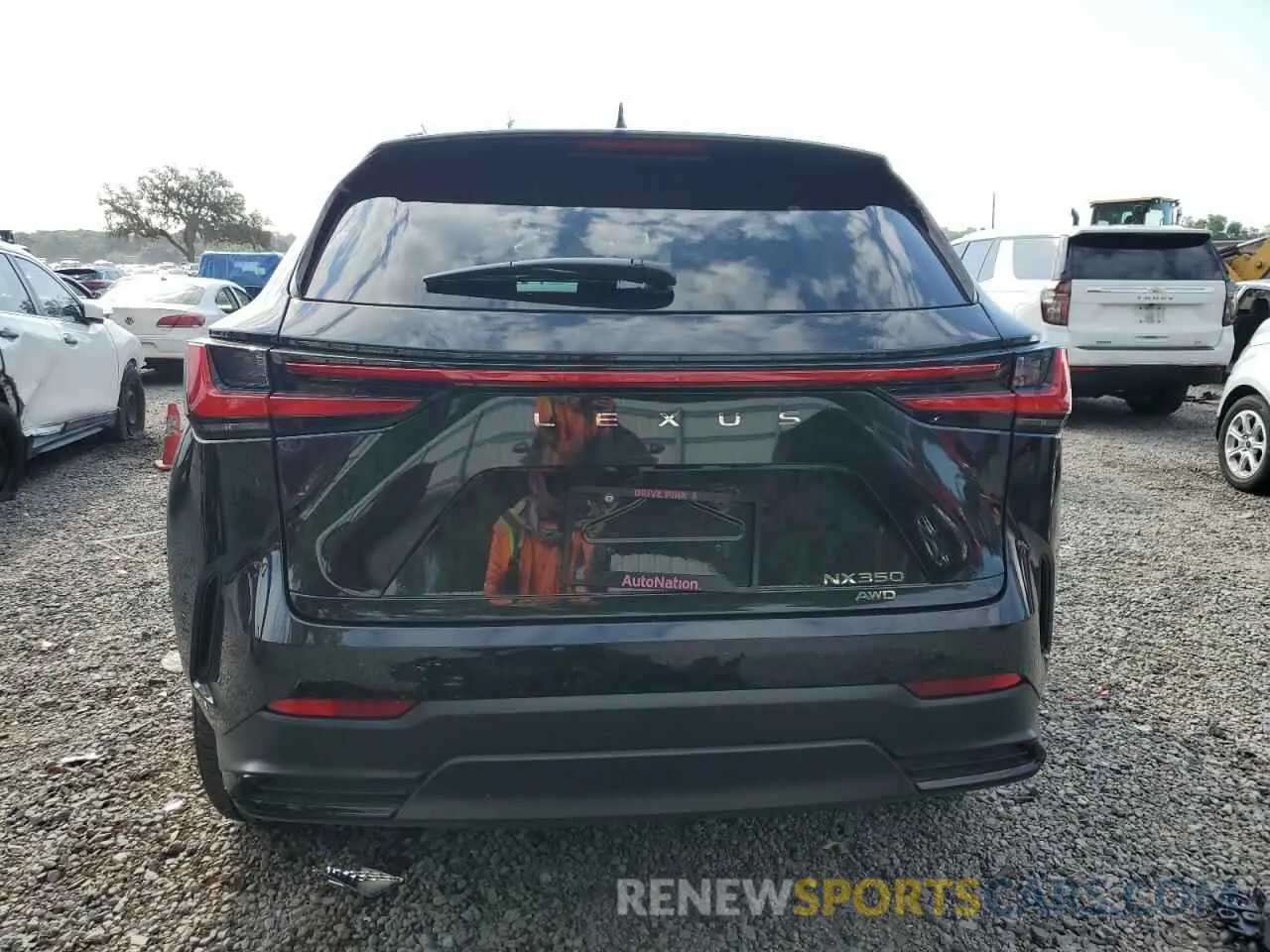 6 Photograph of a damaged car 2T2GGCEZ0RC041388 LEXUS NX 350 PRE 2024