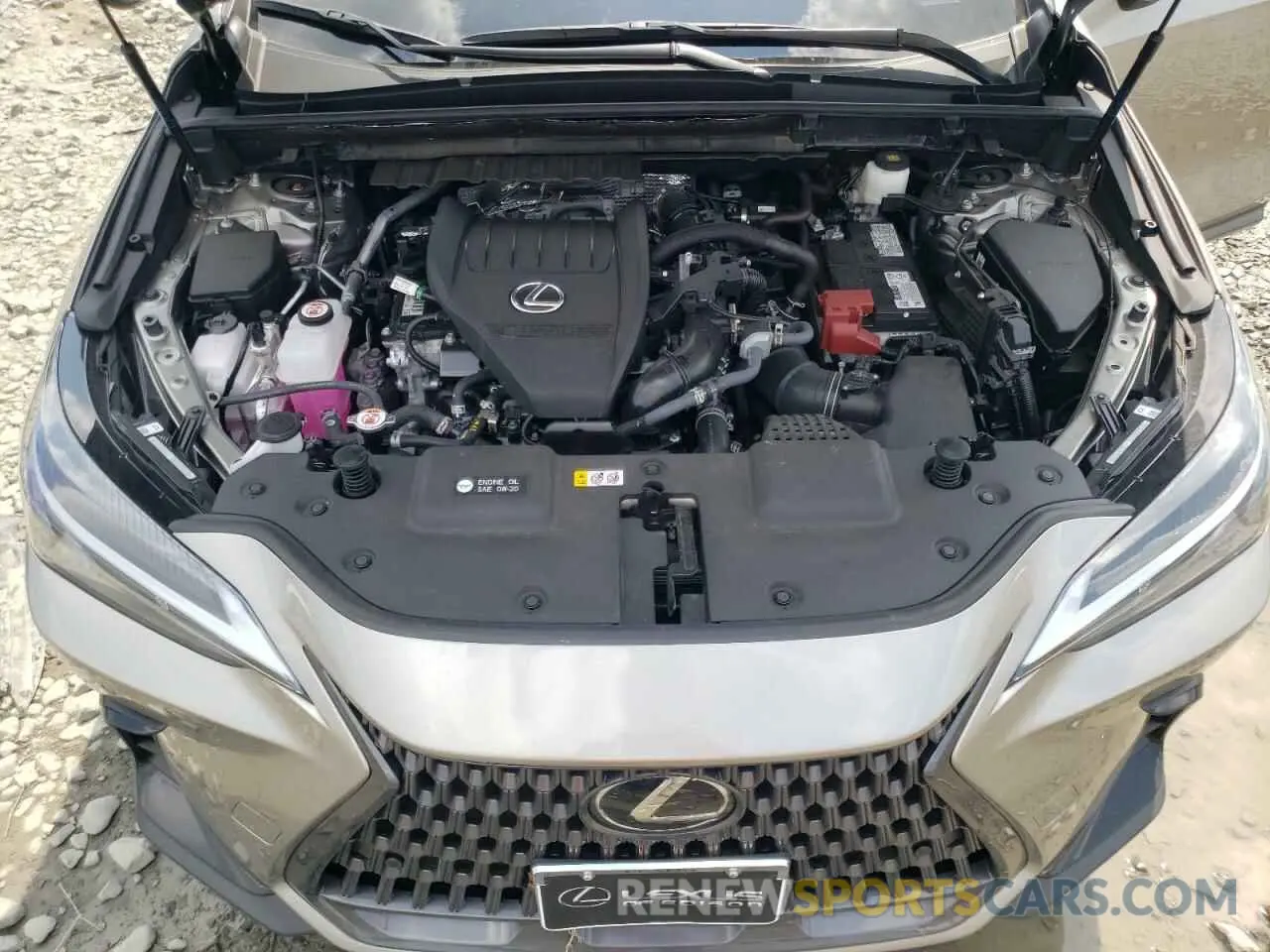 12 Photograph of a damaged car 2T2GGCEZ0RC049068 LEXUS NX 350 PRE 2024