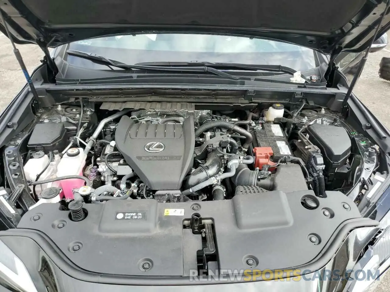 12 Photograph of a damaged car 2T2GGCEZ3RC045242 LEXUS NX 350 PRE 2024