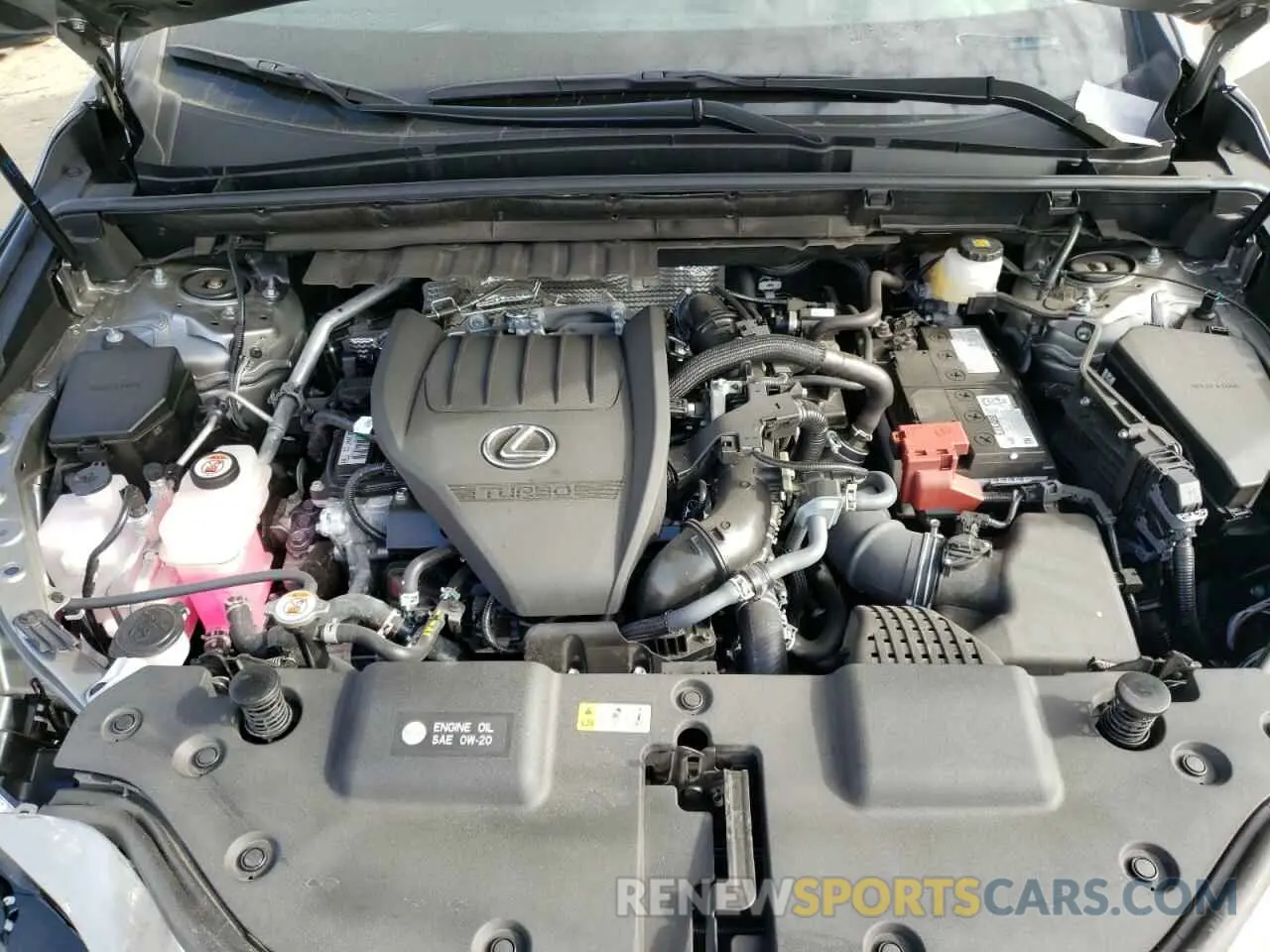 13 Photograph of a damaged car 2T2GGCEZ5RC052418 LEXUS NX 350 PRE 2024