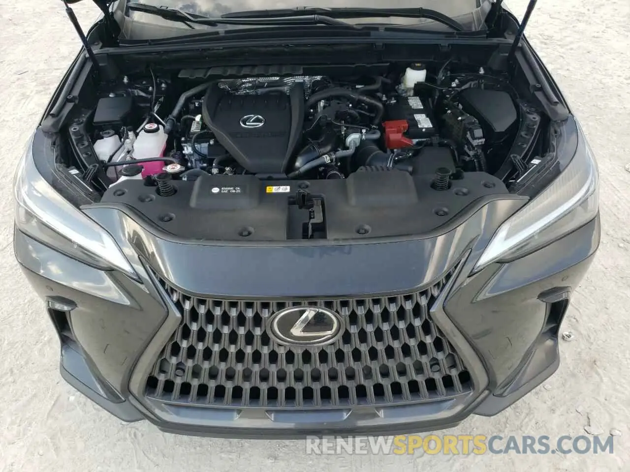 11 Photograph of a damaged car 2T2GGCEZ6RC045395 LEXUS NX 350 PRE 2024