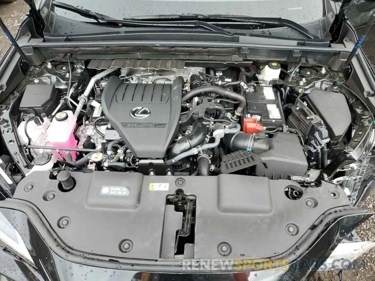 12 Photograph of a damaged car 2T2GGCEZ0SC080990 LEXUS NX 350 PRE 2025
