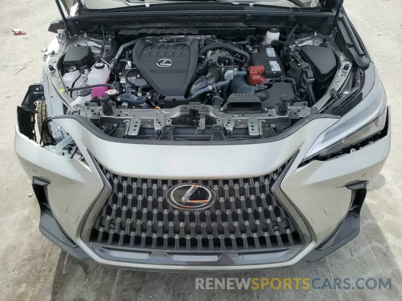 12 Photograph of a damaged car 2T2GGCEZ1SC061509 LEXUS NX 350 PRE 2025