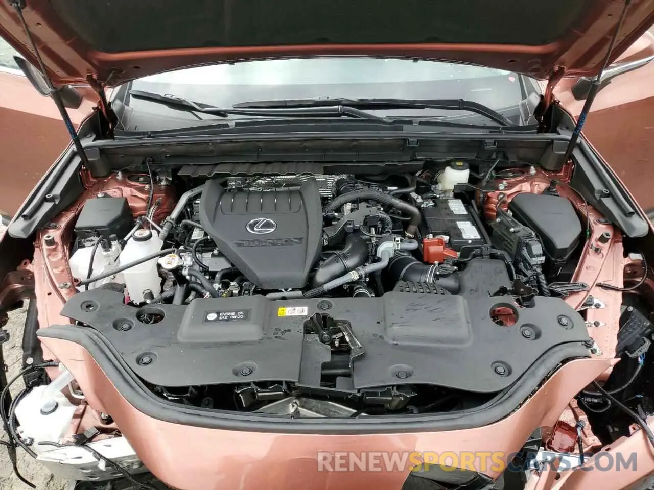 13 Photograph of a damaged car 2T2GGCEZ6SC071842 LEXUS NX 350 PRE 2025
