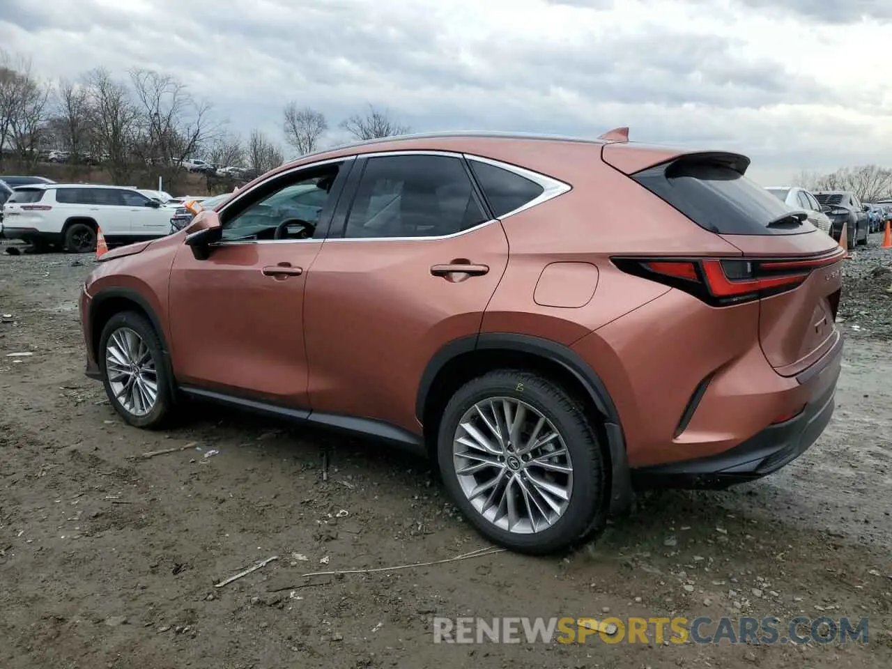 2 Photograph of a damaged car 2T2GGCEZ6SC071842 LEXUS NX 350 PRE 2025