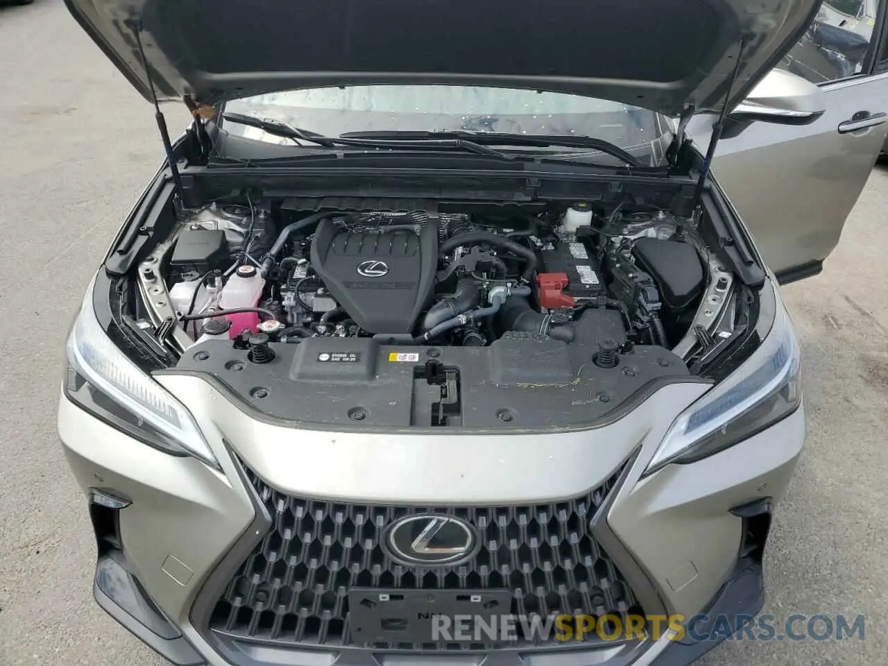 12 Photograph of a damaged car 2T2GGCEZ7SC070344 LEXUS NX 350 PRE 2025