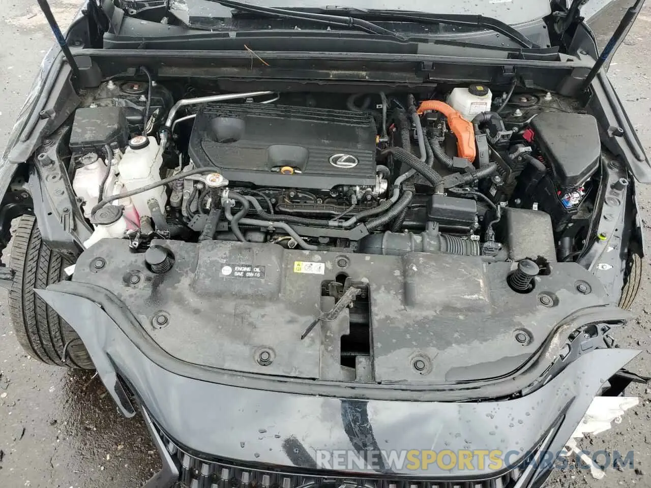 13 Photograph of a damaged car 2T2GKCEZ8NC008566 LEXUS NX 350H 2022