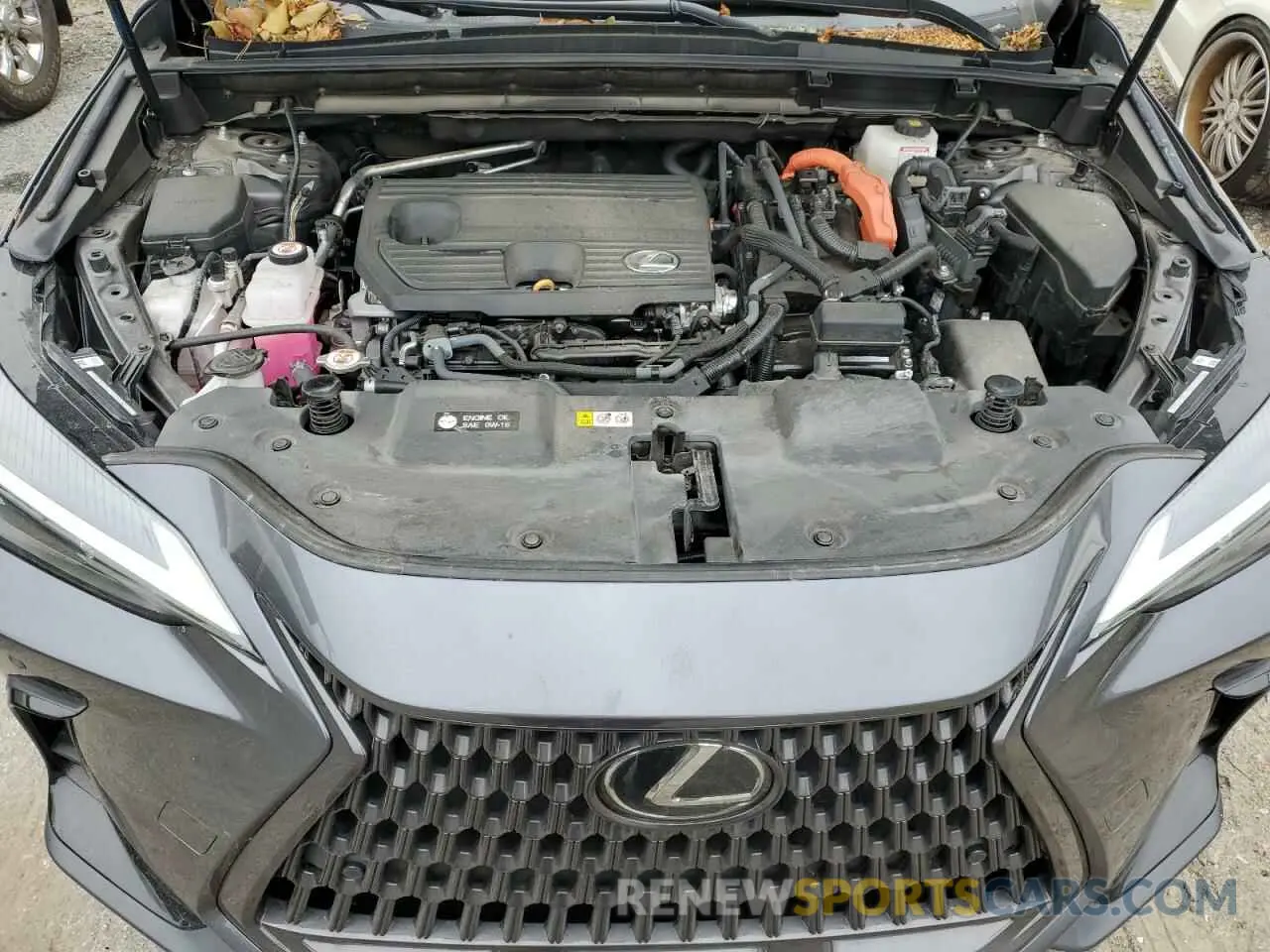 12 Photograph of a damaged car 2T2GKCEZ8NC009023 LEXUS NX 350H 2022