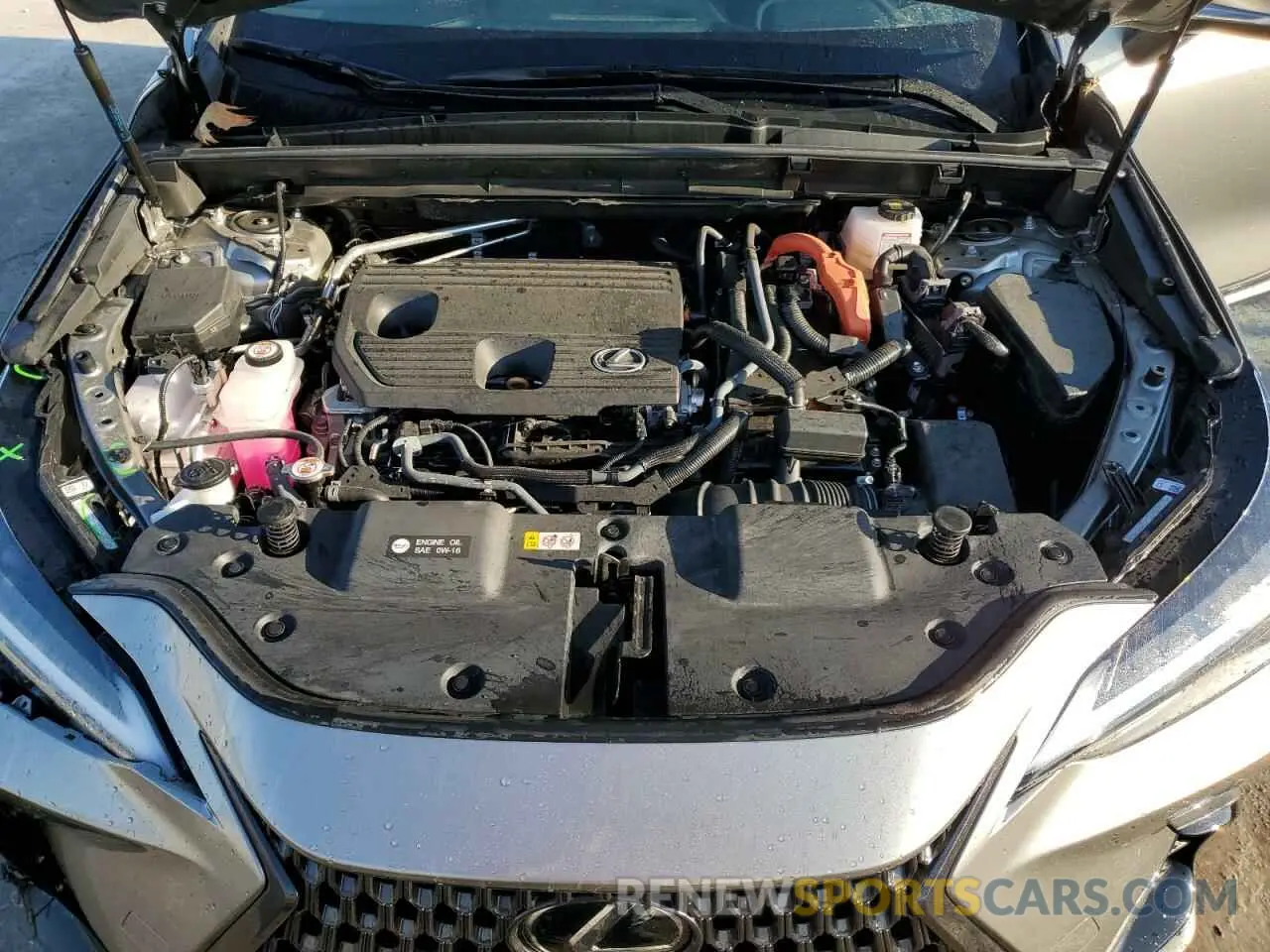 12 Photograph of a damaged car 2T2GKCEZ9NC003070 LEXUS NX 350H 2022