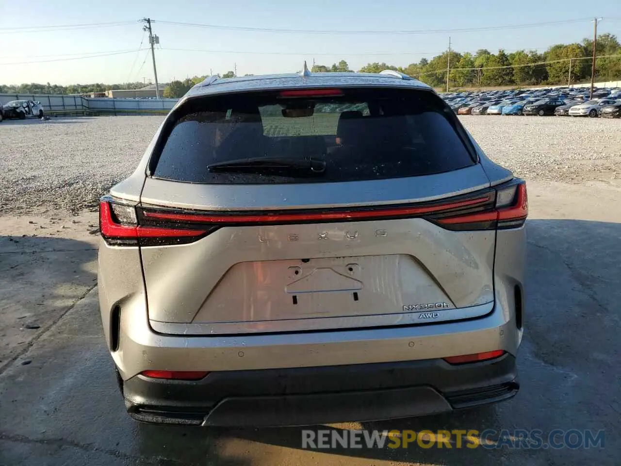6 Photograph of a damaged car 2T2GKCEZ9NC003070 LEXUS NX 350H 2022