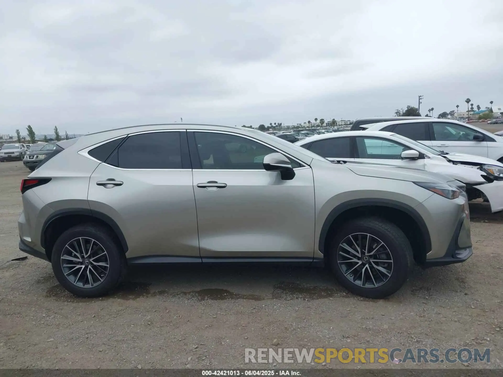 13 Photograph of a damaged car JTJAKCEZ3N5003098 LEXUS NX 350H 2022