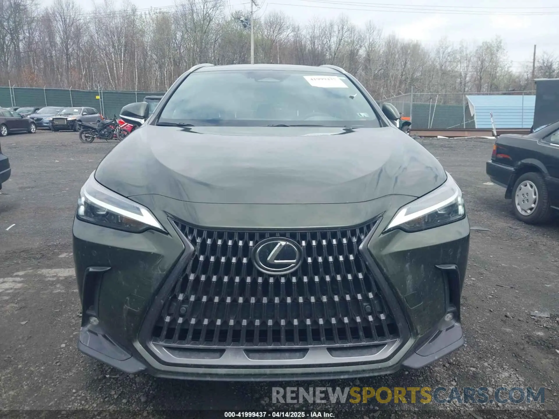 12 Photograph of a damaged car 2T2GKCEZ5PC014862 LEXUS NX 350H 2023