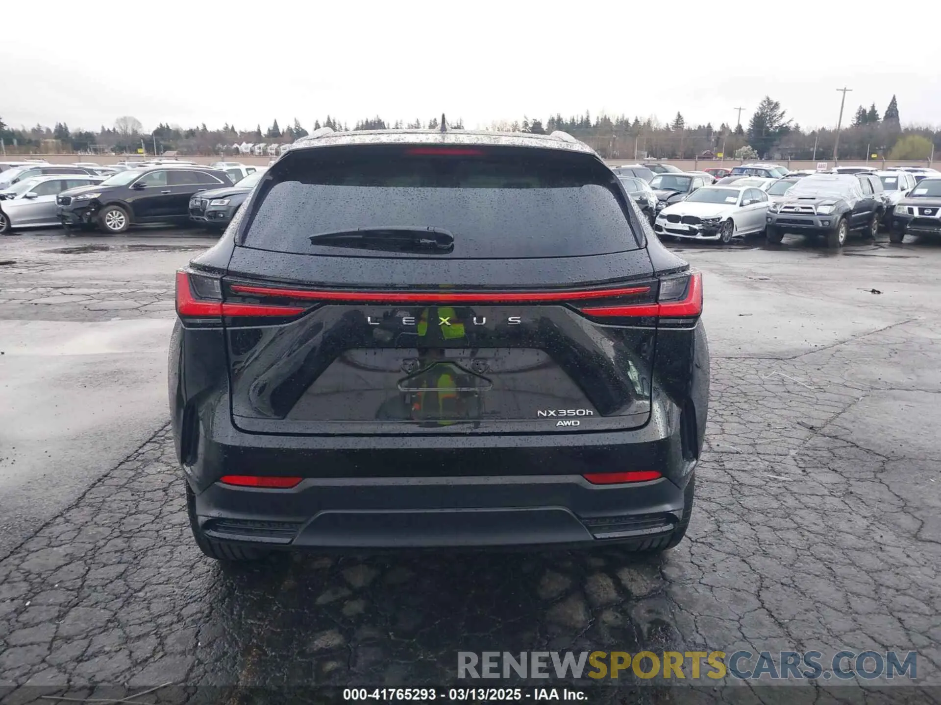 17 Photograph of a damaged car 2T2HKCEZXPC013596 LEXUS NX 350H 2023