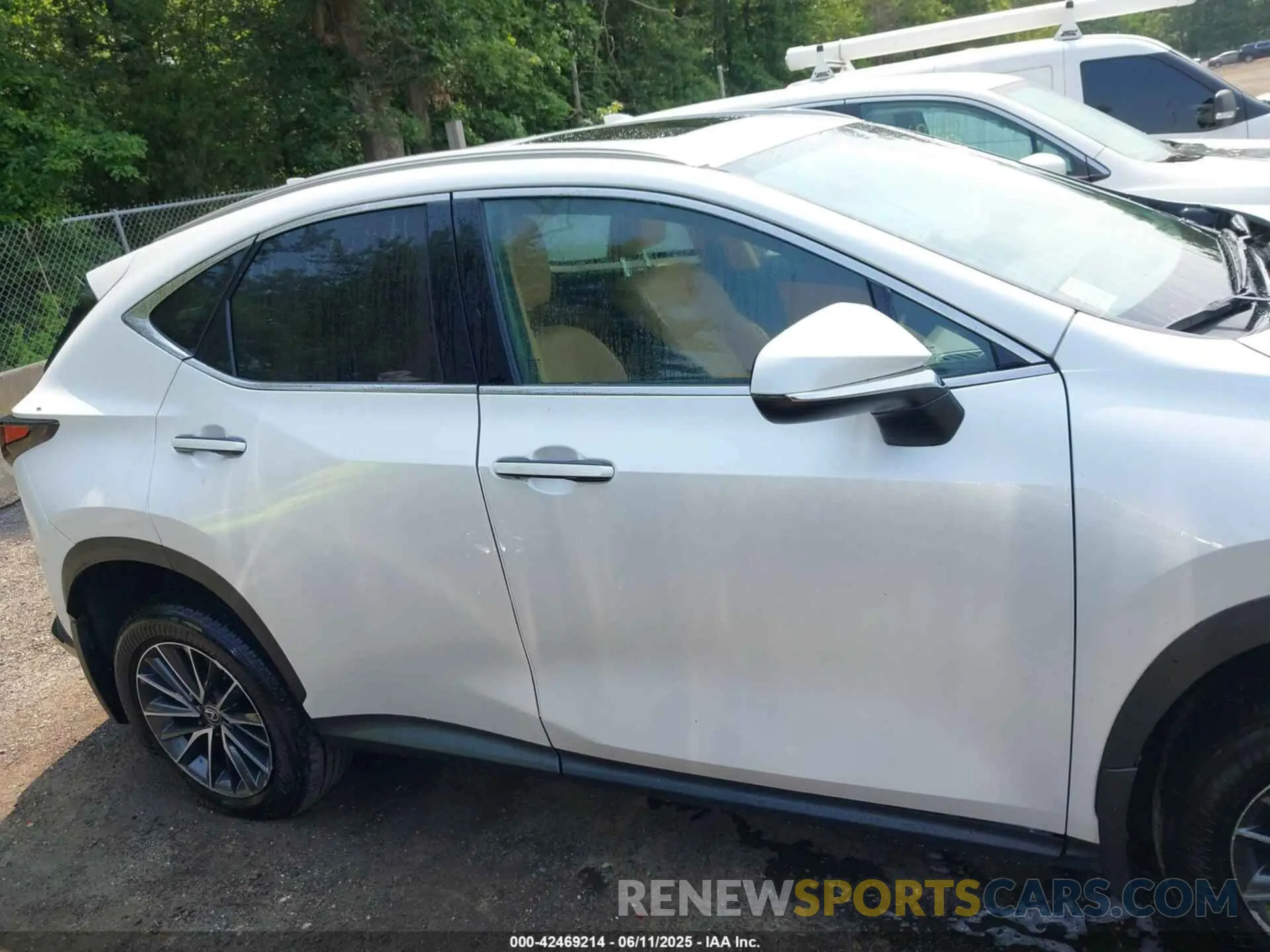 13 Photograph of a damaged car 2T2GKCEZ2RC020010 LEXUS NX 350H 2024