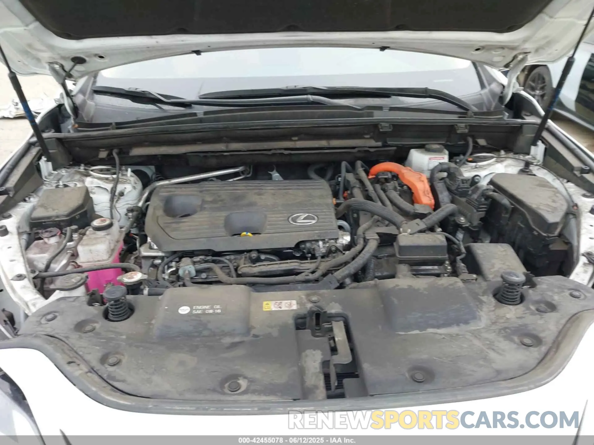 10 Photograph of a damaged car JTJAKCEZ5R5010740 LEXUS NX 350H 2024