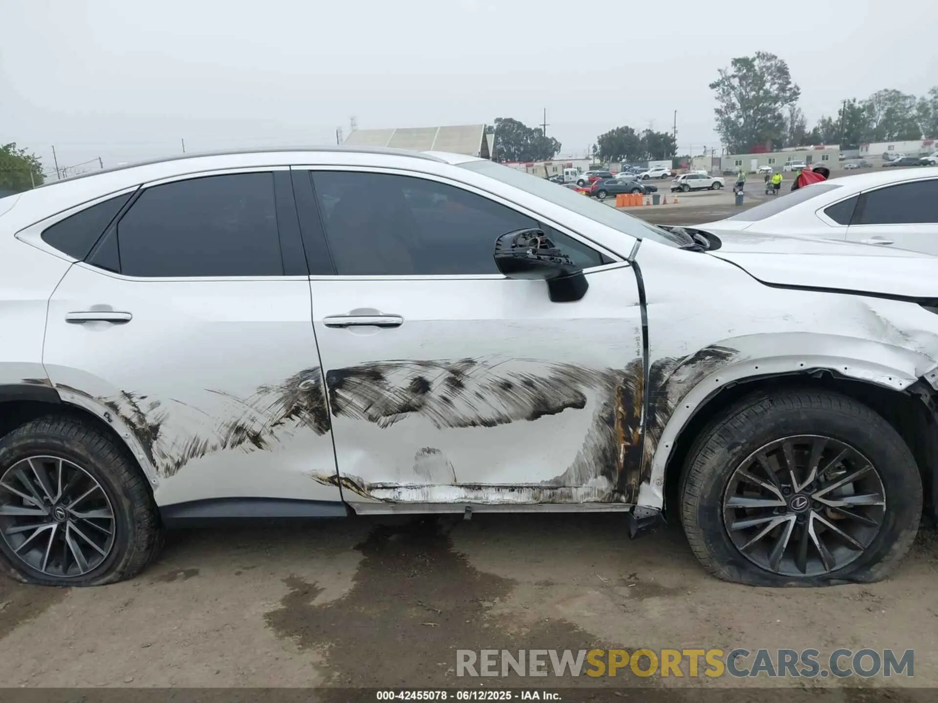 13 Photograph of a damaged car JTJAKCEZ5R5010740 LEXUS NX 350H 2024
