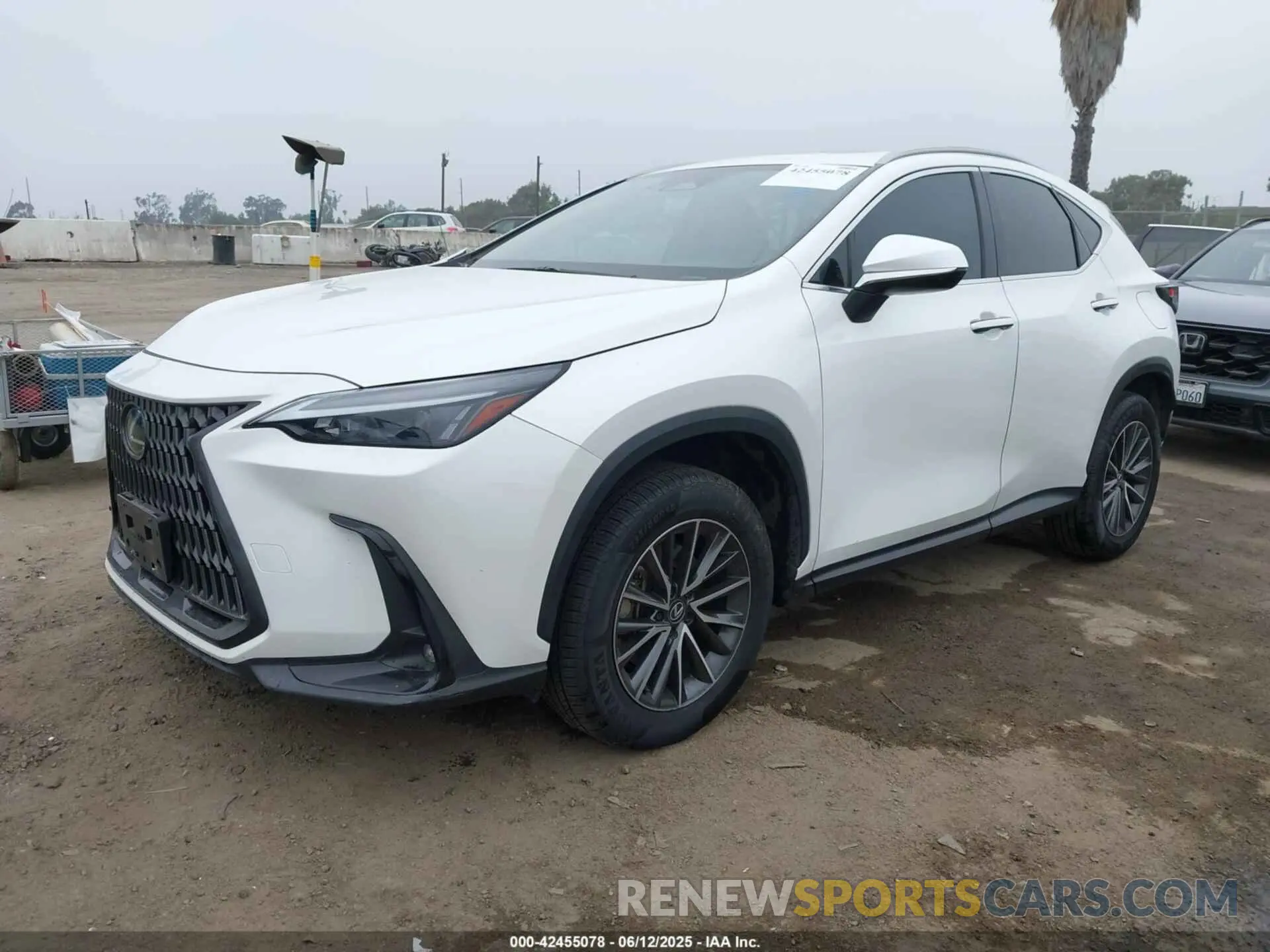 2 Photograph of a damaged car JTJAKCEZ5R5010740 LEXUS NX 350H 2024