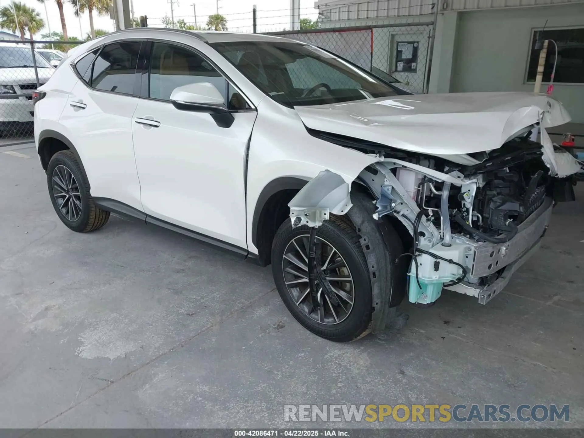 1 Photograph of a damaged car JTJAKCEZ8R5020131 LEXUS NX 350H 2024