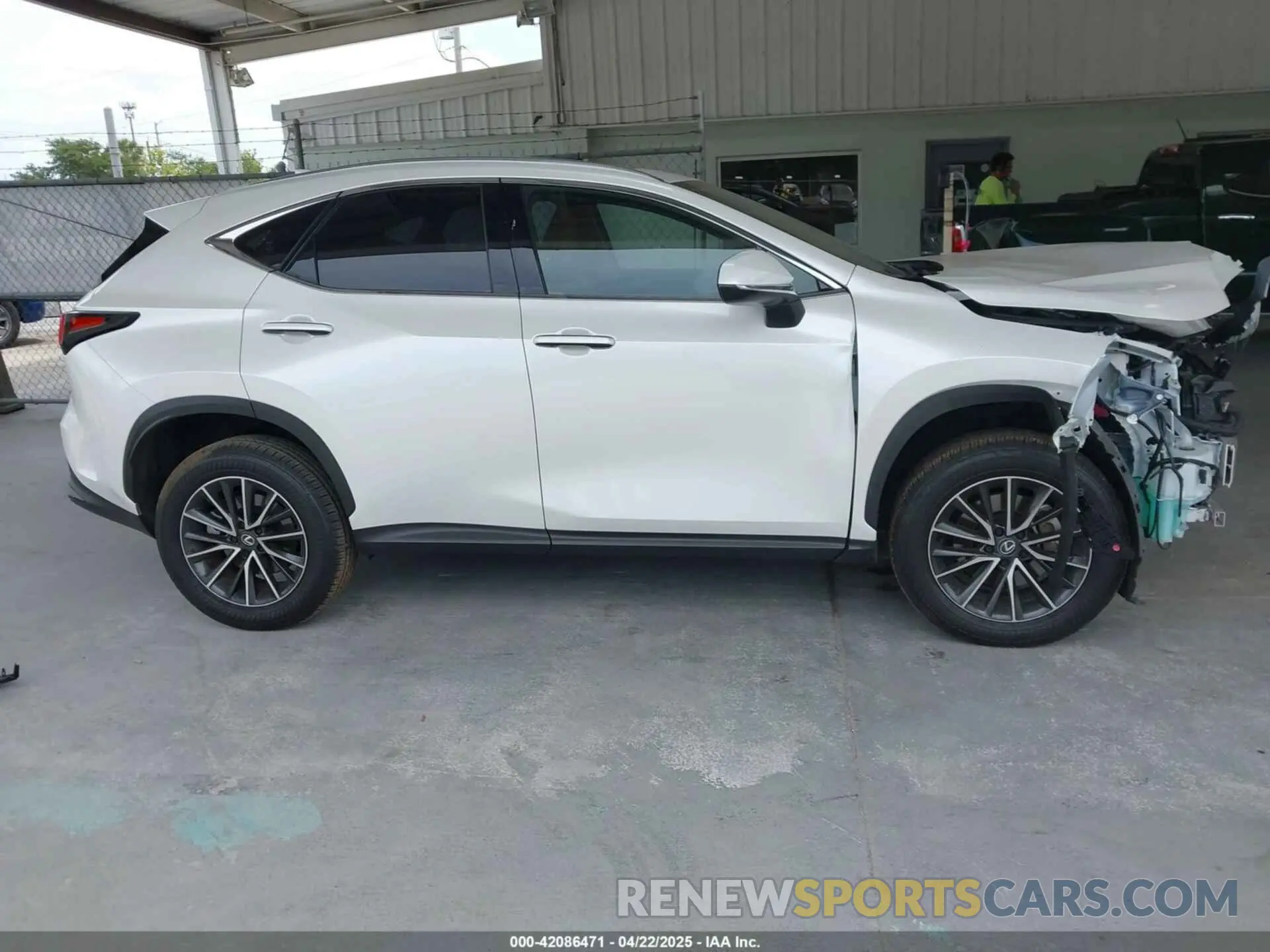13 Photograph of a damaged car JTJAKCEZ8R5020131 LEXUS NX 350H 2024