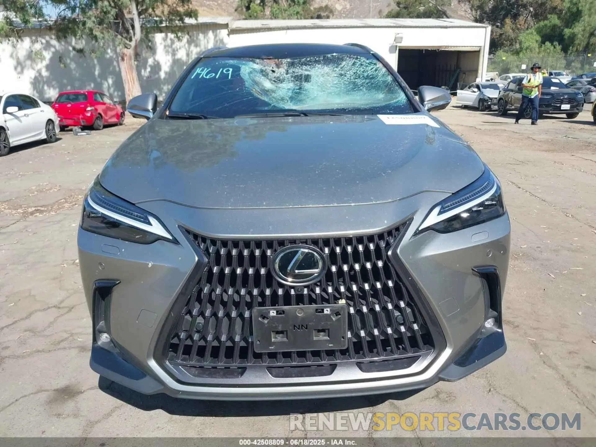 12 Photograph of a damaged car JTJHKCEZ5R5014365 LEXUS NX 350H 2024