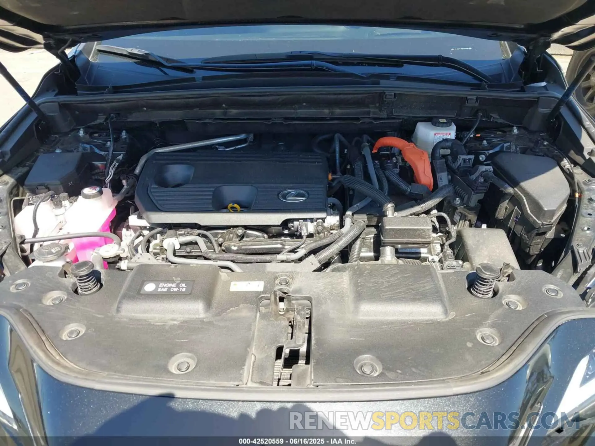 10 Photograph of a damaged car JTJHKCEZXR2030756 LEXUS NX 350H 2024