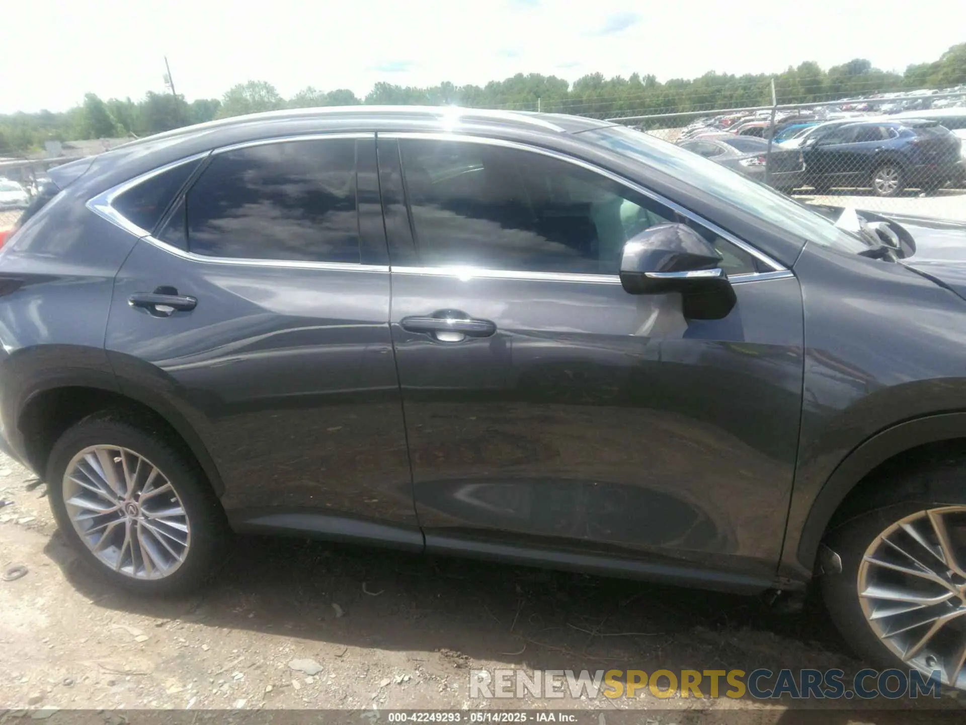 13 Photograph of a damaged car 2T2GKCEZ2SC032602 LEXUS NX 350H 2025