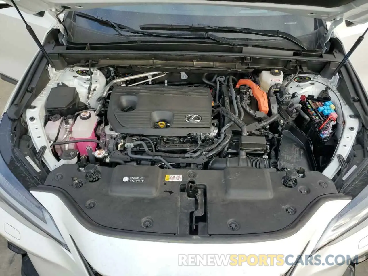 12 Photograph of a damaged car JTJHKCEZ6R2035436 LEXUS NX 350H BA 2024