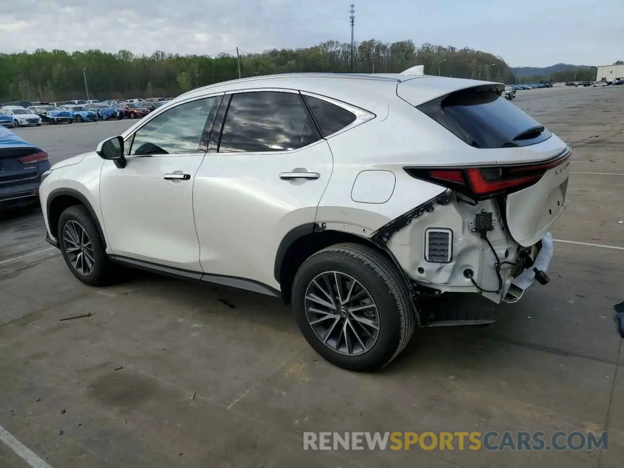 2 Photograph of a damaged car JTJHKCEZ6R2035436 LEXUS NX 350H BA 2024