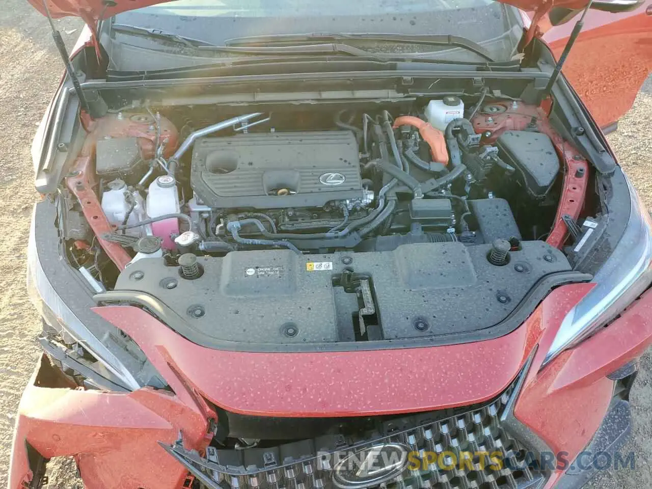 13 Photograph of a damaged car 2T2GKCEZ7SC034720 LEXUS NX 350H BA 2025