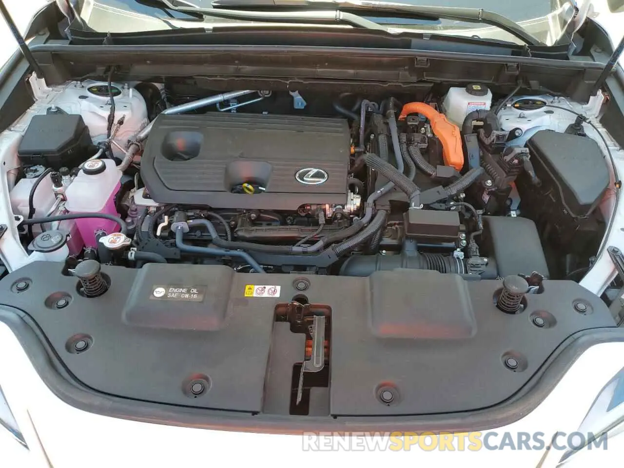 13 Photograph of a damaged car JTJGKCEZ9S2052281 LEXUS NX 350H BA 2025