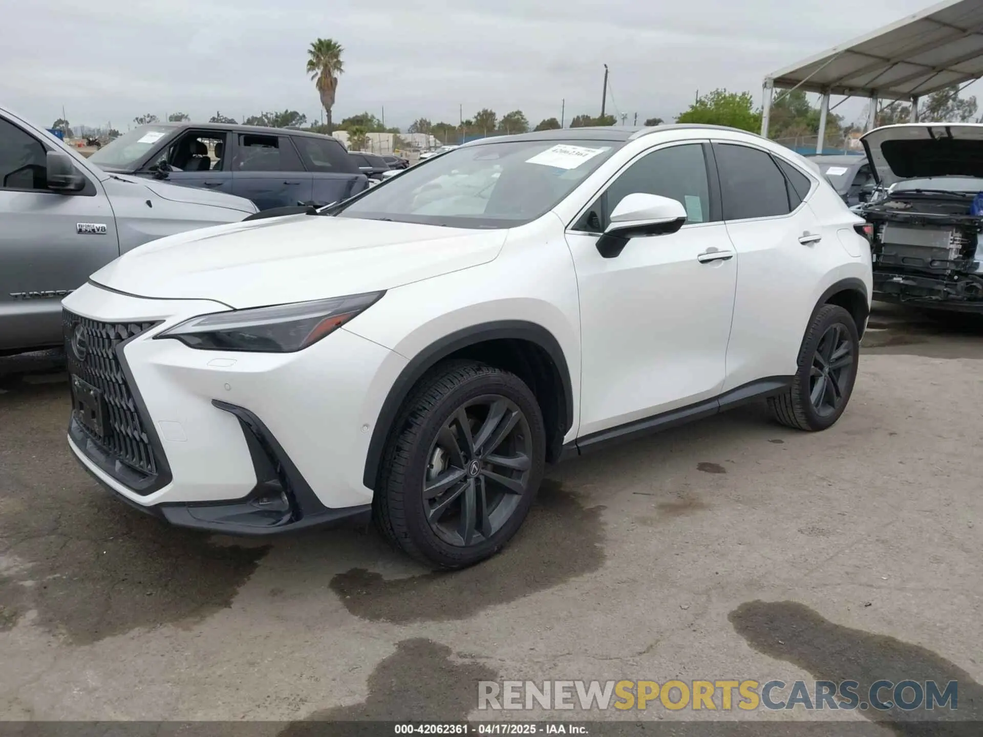 2 Photograph of a damaged car JTJHKCFZ1S2043125 LEXUS NX 450H+ 2025