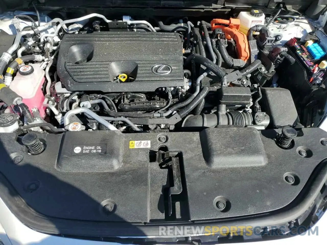 12 Photograph of a damaged car JTJHKCFZ0R2040386 LEXUS NX 450H LU 2024