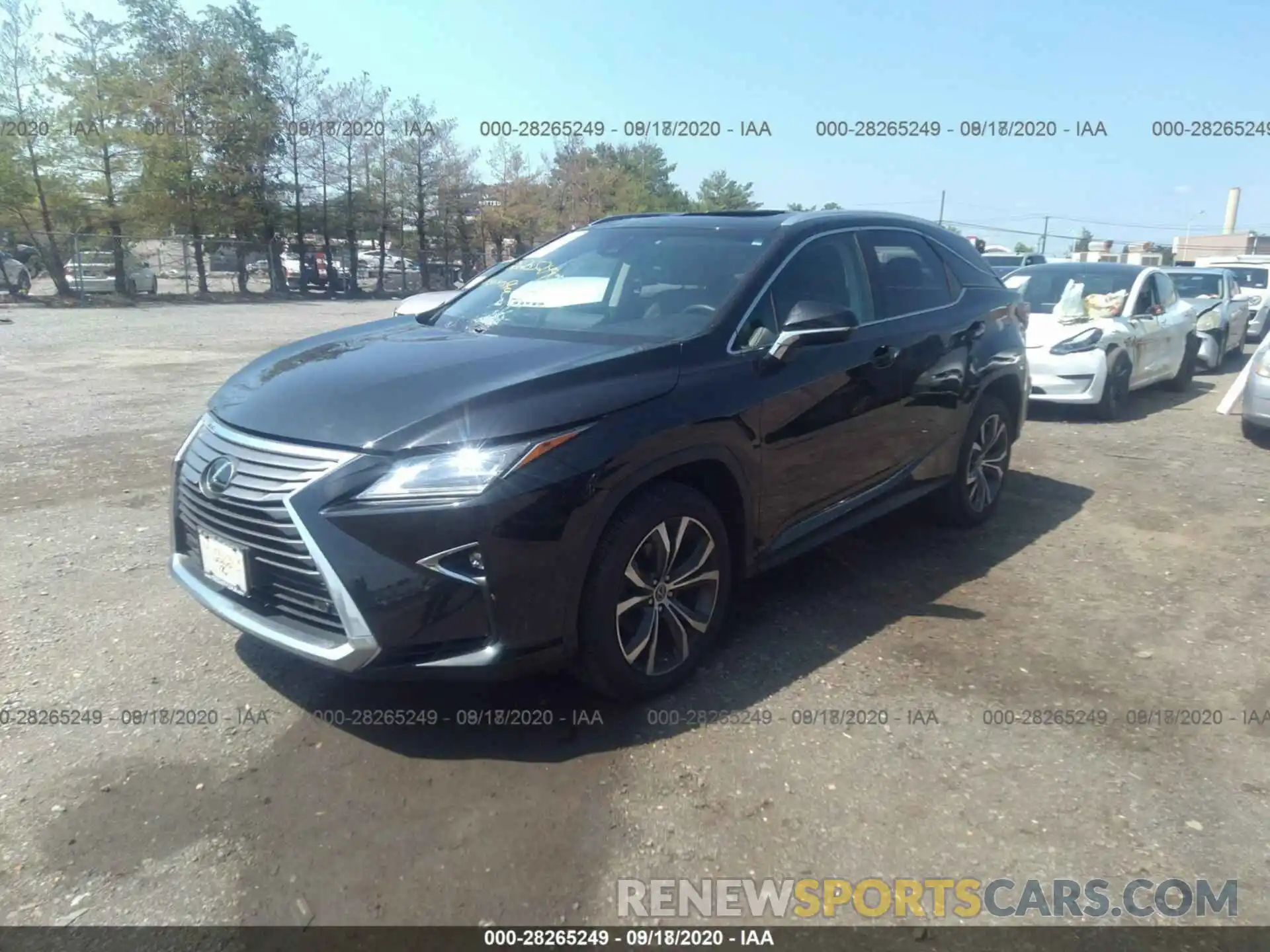 13 Photograph of a damaged car 2T2BZMCA1KC204501 LEXUS RX 2019