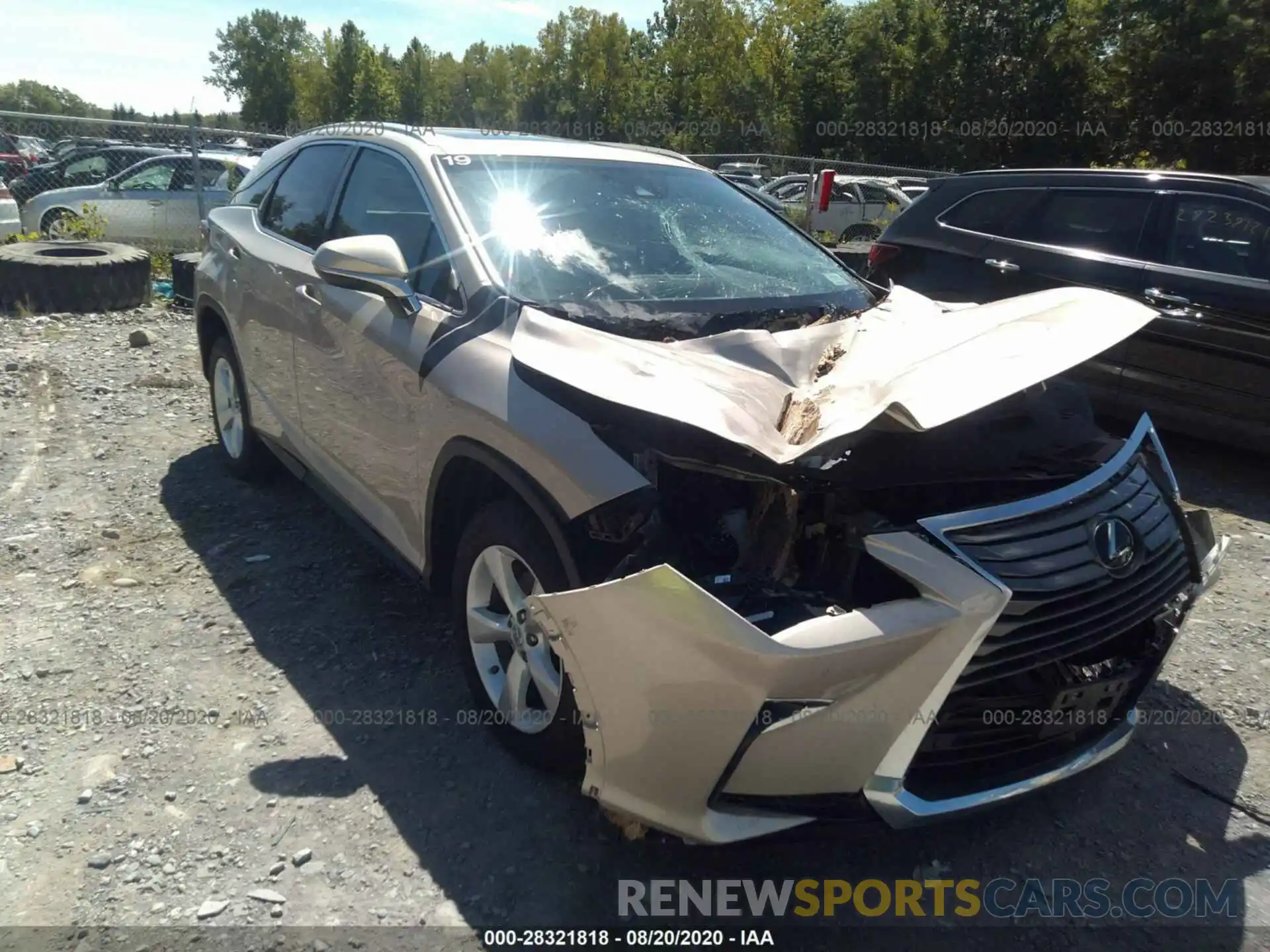 1 Photograph of a damaged car 2T2BZMCA5KC211306 LEXUS RX 2019