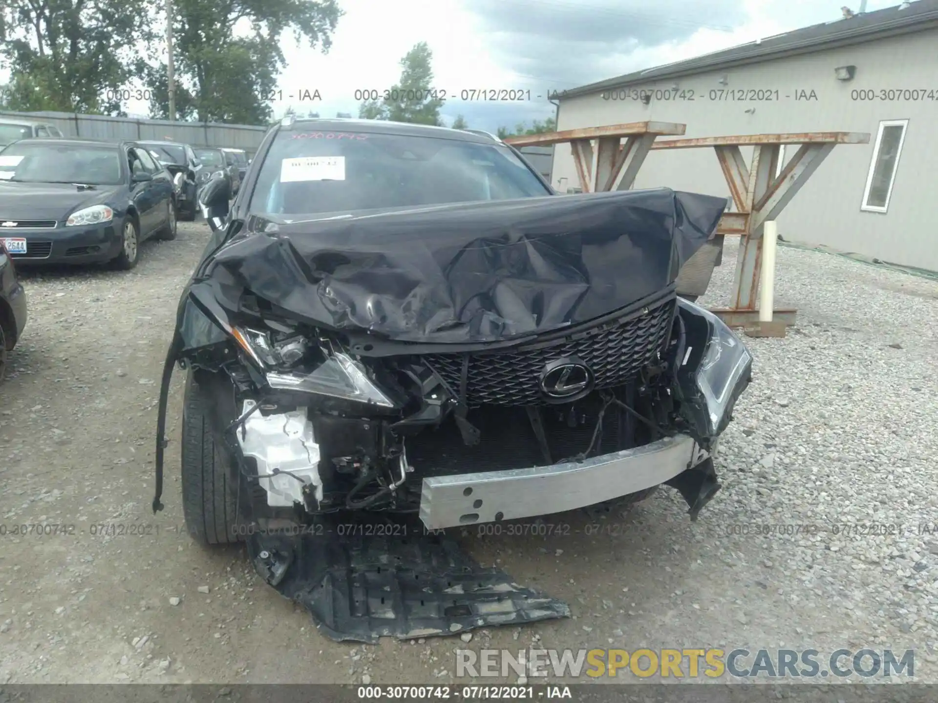 6 Photograph of a damaged car 2T2BZMCA7KC196341 LEXUS RX 2019